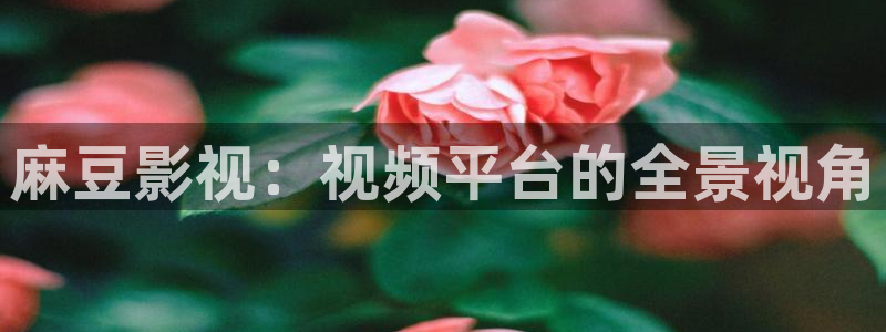 紅葉影視：麻豆影視：視頻平臺的全景視角