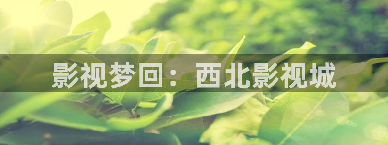 六安紅葉影城電影