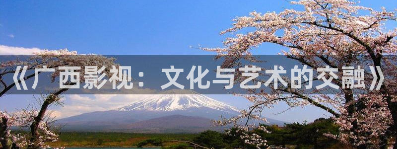紅葉影視官網：《廣西影視：文化與藝術的交融》